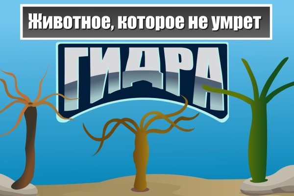 Кракен это что за магазин