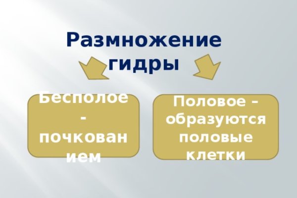 Кракен маркетплейс купить порошок